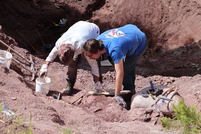 Zwei Paläontologen bei einer Grabung.
