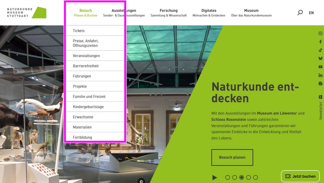 Startseite des Naturkundemuseums Stuttgart mit markierter ausgeklappter Menüzeile