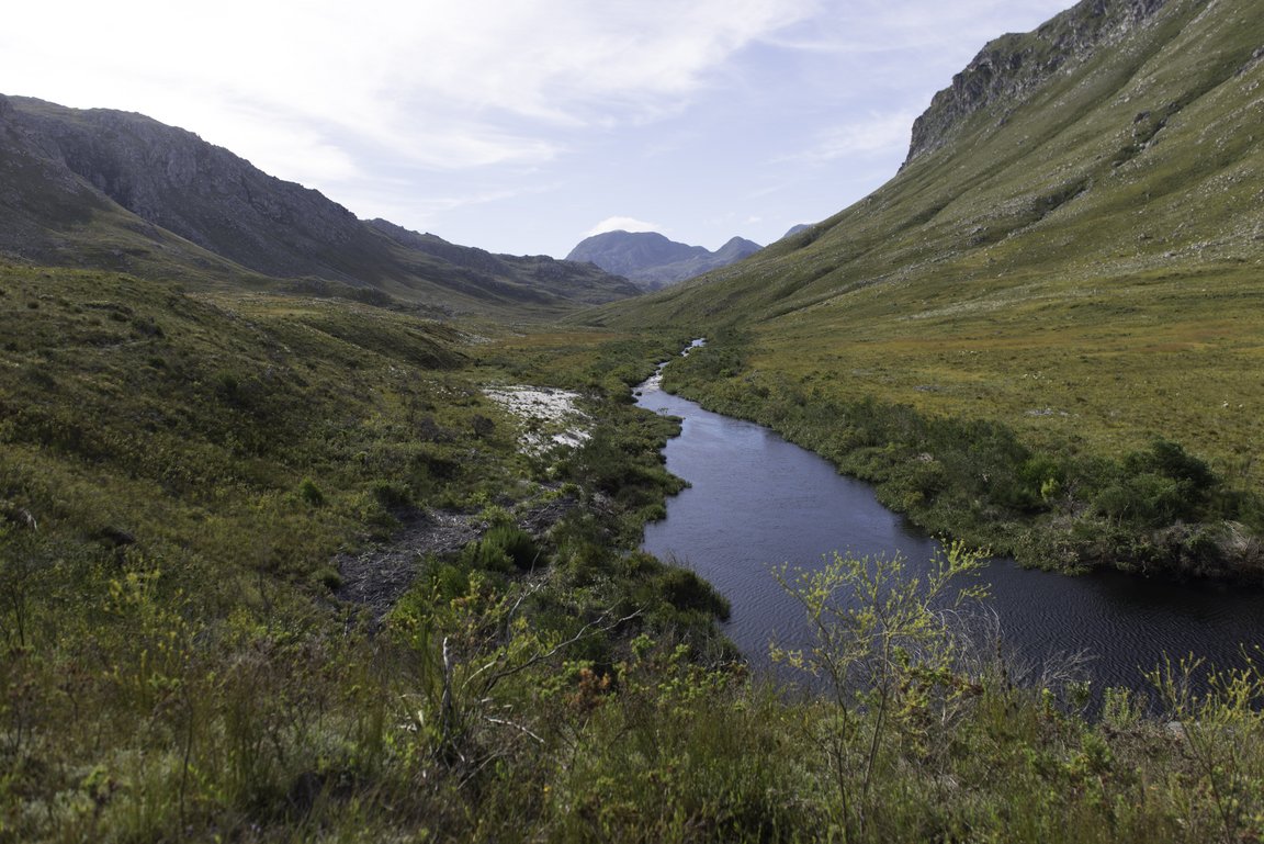 Kogelberg Nature Reserve
