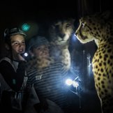 Kinder mit Taschenlampe vor Gepard