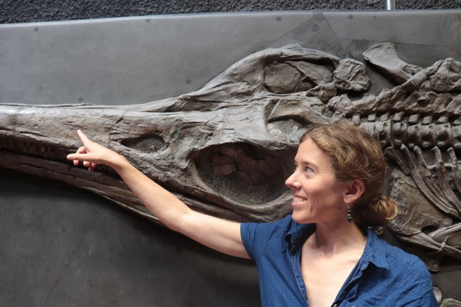 Paläontologin Erin Maxwell vor dem Fossil eines großen Fischsauriers