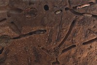 Bodenlabyrinth der Kreaturen der Unterwelt