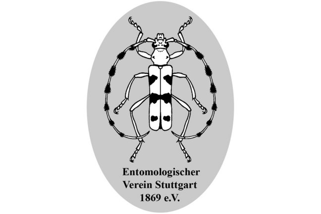 Logo des Entomologischen Vereins Stuttgart