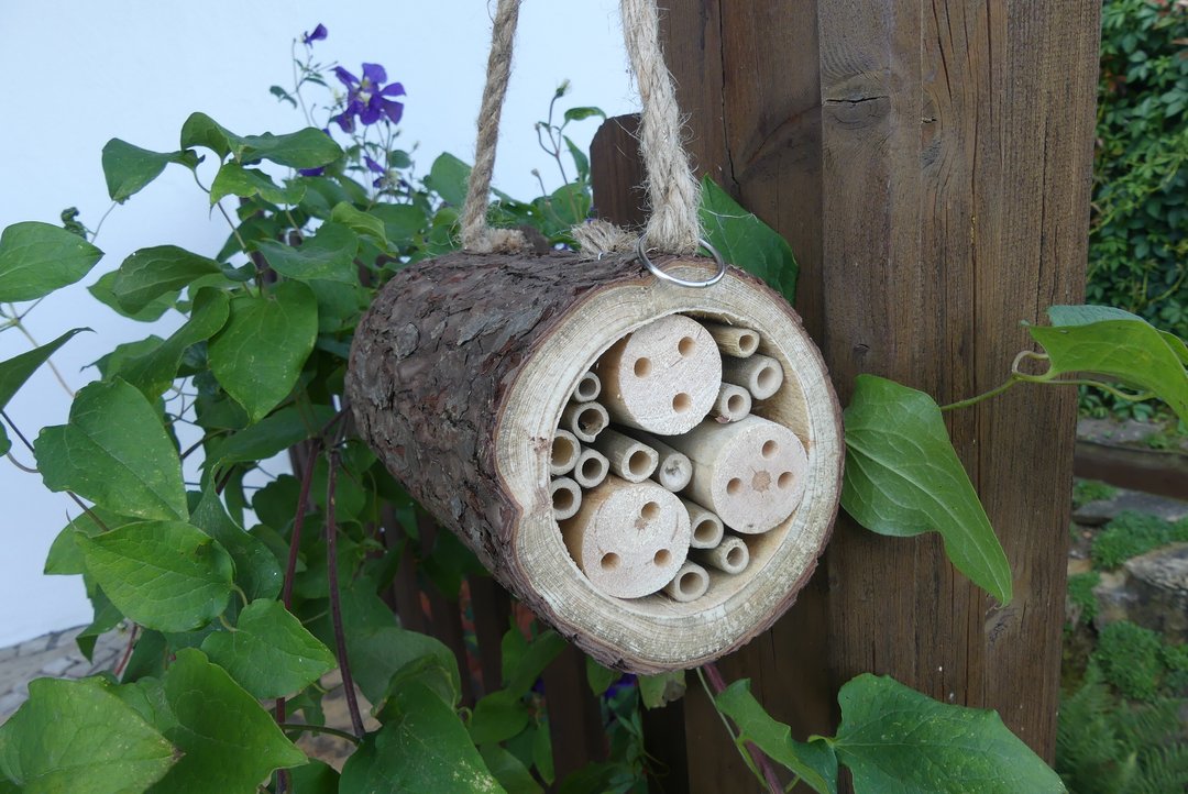 Eine handgemachte Nisthilfe für Wildbienen und andere Insekten. Sie besteht aus einem kurzen, ausgehöhlten Baumstammstück, welches mit hohlen Bambushalmen und Holzstücken mit Bohrlöchern gefüllt ist. Die Nisthilfe wurde mit Hilfe eines Seils an einen senkrechten Holzbalken befestigt.