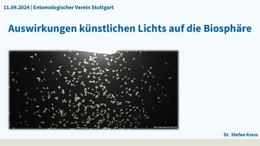 Plakatmotiv Vortrag Auswirkungen künstlichen Lichts auf die Biosphäre