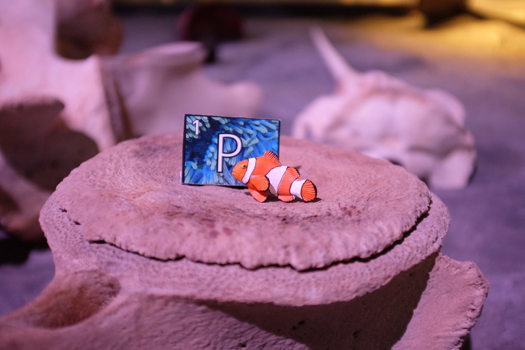 Anemonenfisch-Spielzeugtier mit Buchstabe in Ausstellung versteckt