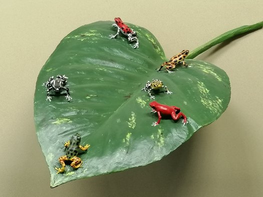 Modell eines Blattes mit sechs sehr kleinen und bunten Pfeilgiftfröschen.