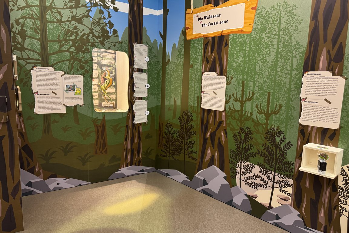 Blick in Ausstellungbereich "Wald" mit Vitrine und gezeichneten Pflanzen