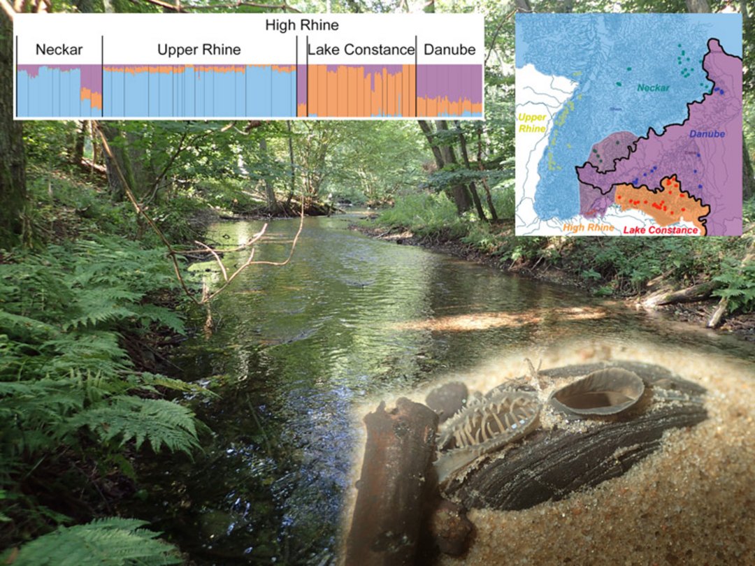 Kollage aus Verteilungskarten und Flusslandschaft