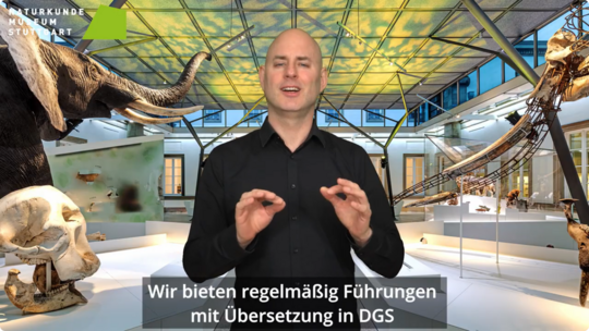 Screenshot aus dem Video in Deutscher Gebärdensprache mit Informationen zu Angeboten in Deutscher Gebärdensprache