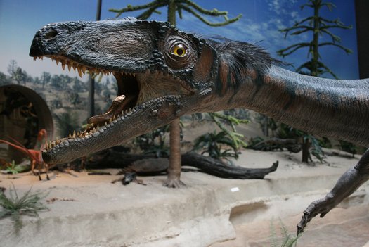 Kopf eines Raubdinosauriers mit offenem Maul