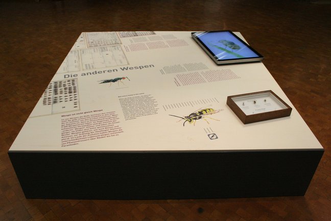 Ein Ausstellungssockel mit einem Monitor und einem Insektenkasten in der Sonderausstellung "Die Anderen Wespen".