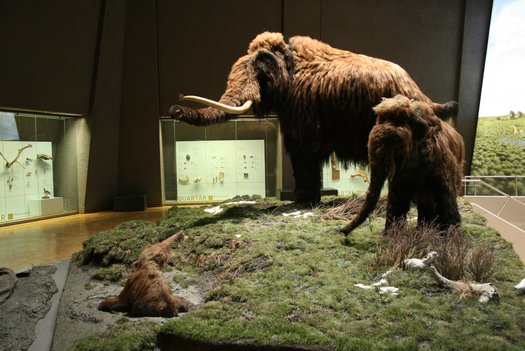 Modelle Mammutfamilie
