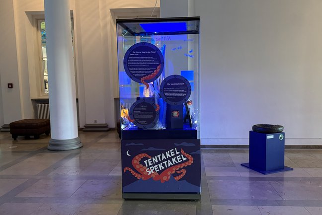 Übersicht über die Vitrine spezial Tentakel Spektakel