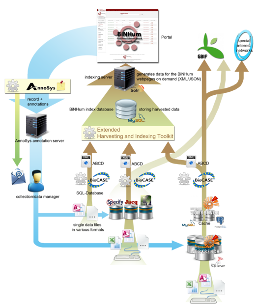 Schematische Darstellung des komplexen Systems des Biodiversitätsnetzwerks des Humboldt-Rings