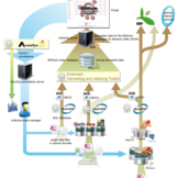 Schematische Darstellung des komplexen Systems des Biodiversitätsnetzwerks des Humboldt-Rings