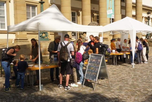 Interessierte Besucher stehen unter Pavillons vor dem Schloss Rosenstein