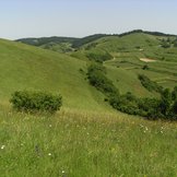 Hügelige Landschaft