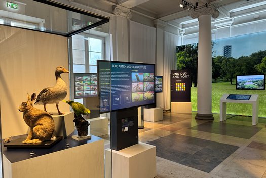 Blick in Sonderausstellungsbereich Life im Park mit Objekten in Vitrine und Monitor daneben