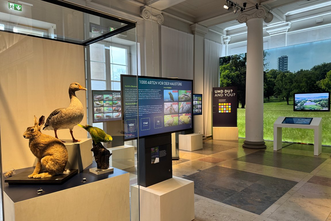 Blick in Sonderausstellungsbereich Life im Park mit Objekten in Vitrine und Monitor daneben