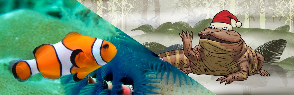 Vorschau Weihnachtssuchspiel