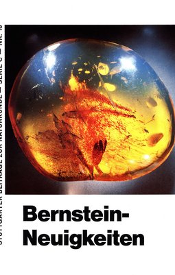 Cover Serie C Nr. 18 Bernstein-Neuigkeiten