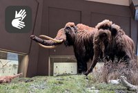 Zwei Mammutmodelle im Lebensraum mit Icon für Deutsche Gebärdensprache