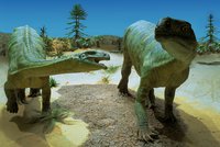 Zwei Plateosauerier im Diorama des Mittleren Keupers