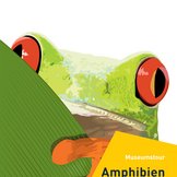 Titelbild Museumstour Amphibien