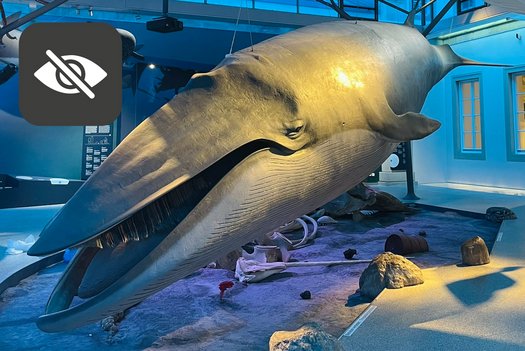 Walmodell im Meeressaal mit Icon für Sehbeeinträchtigungen