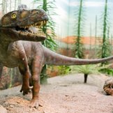 Modell Arizonasaurus