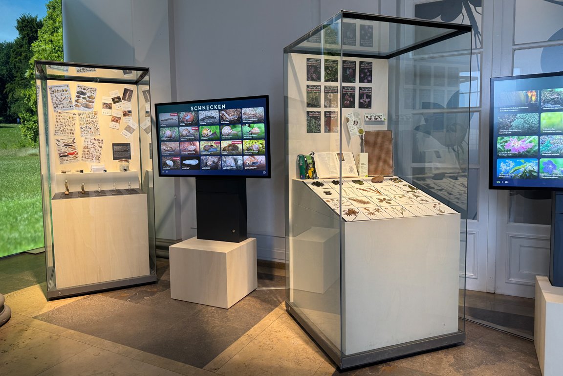 Zwei Vitrinen mit einem Monitor dazwischen