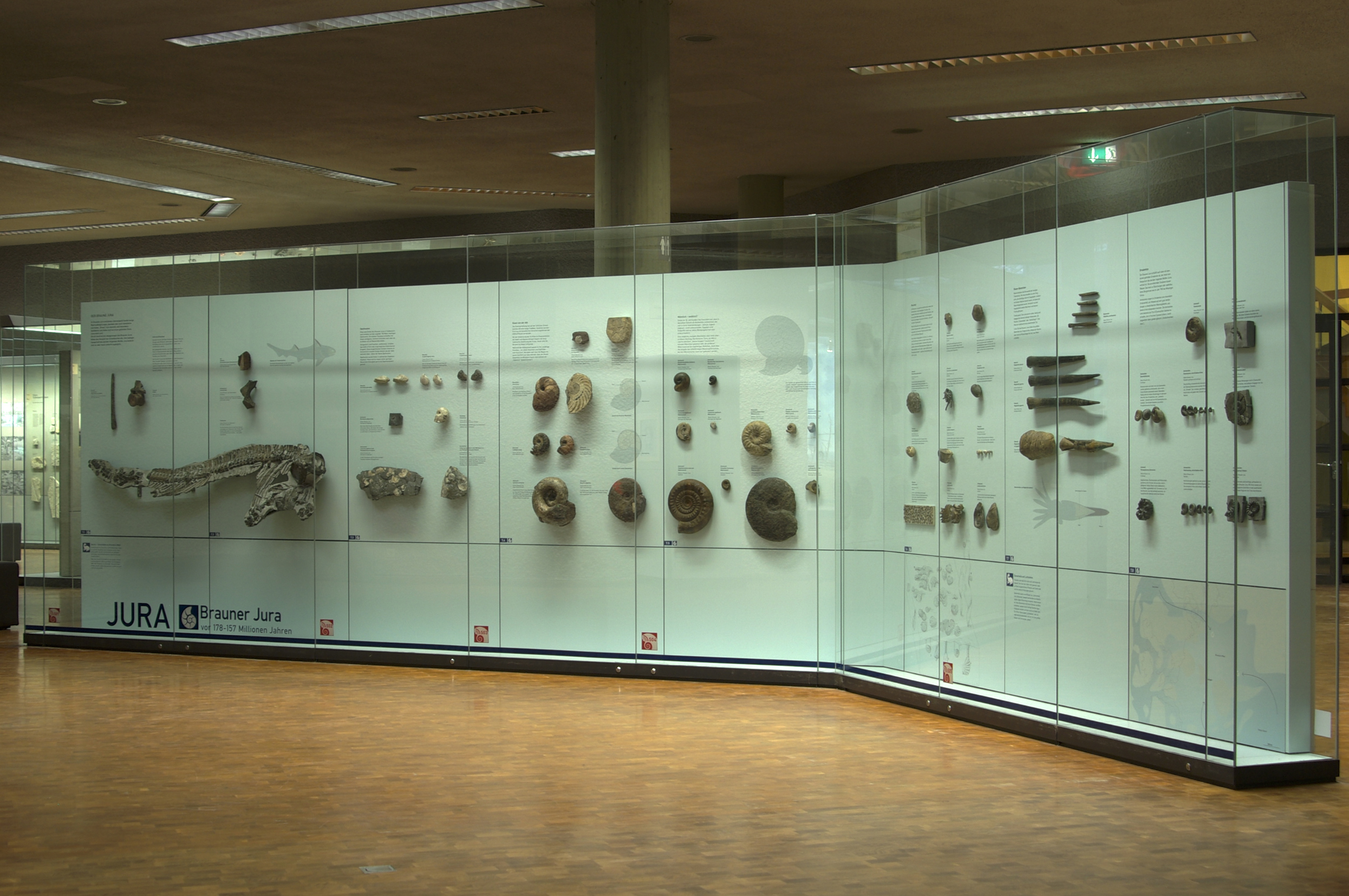 Übersicht Ausstellungsbereich Brauner Jura