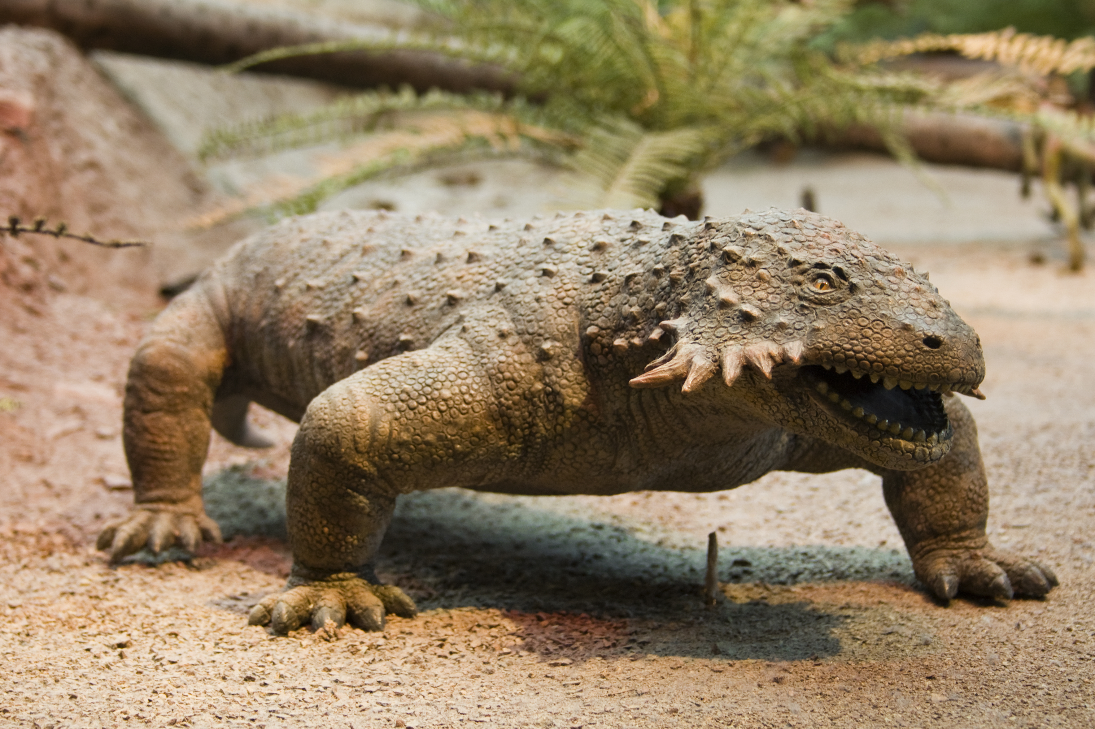 Modell Sclerosaurus Buntsandstein