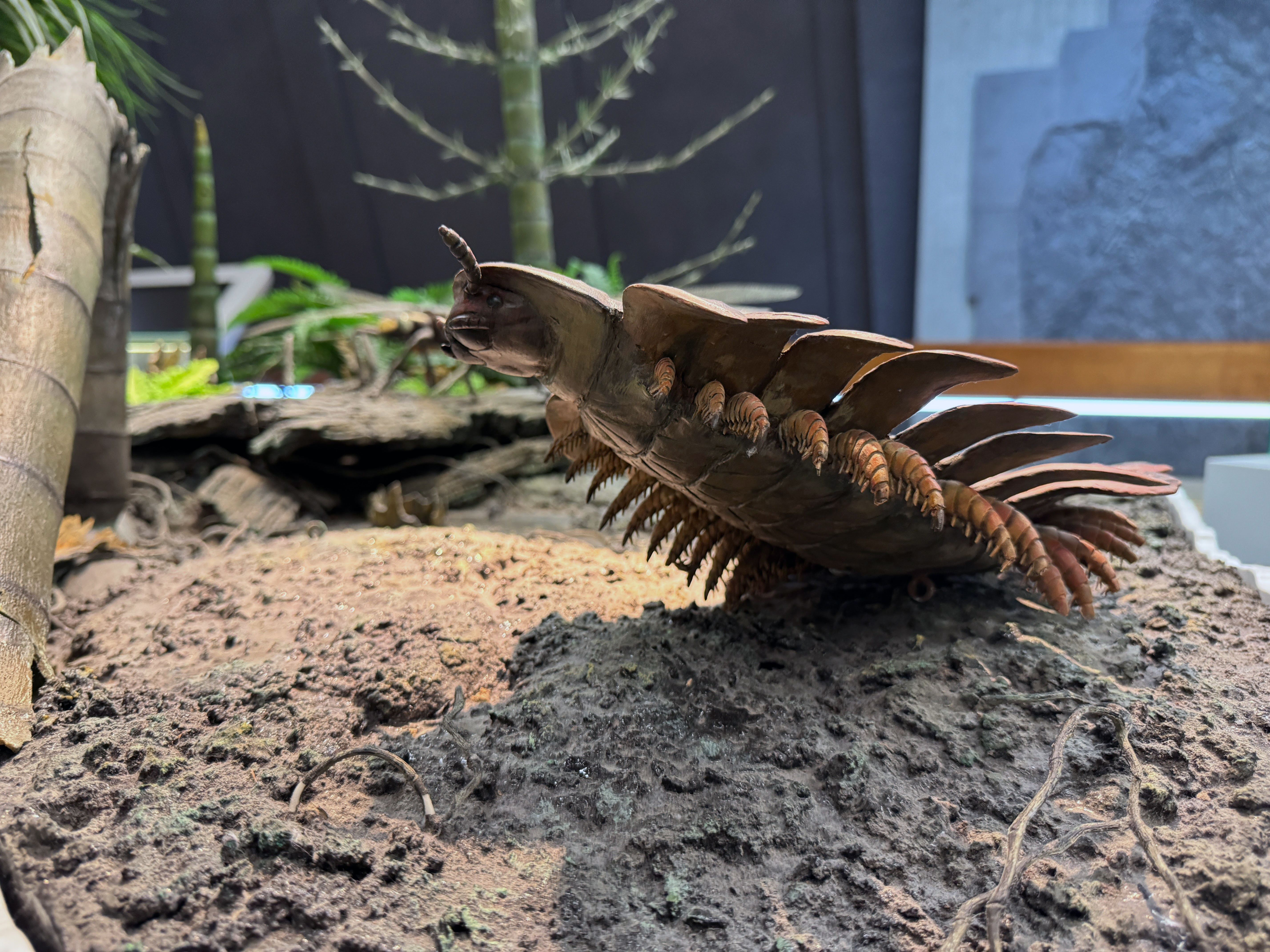 Modell gigantischer Tausendfüßer