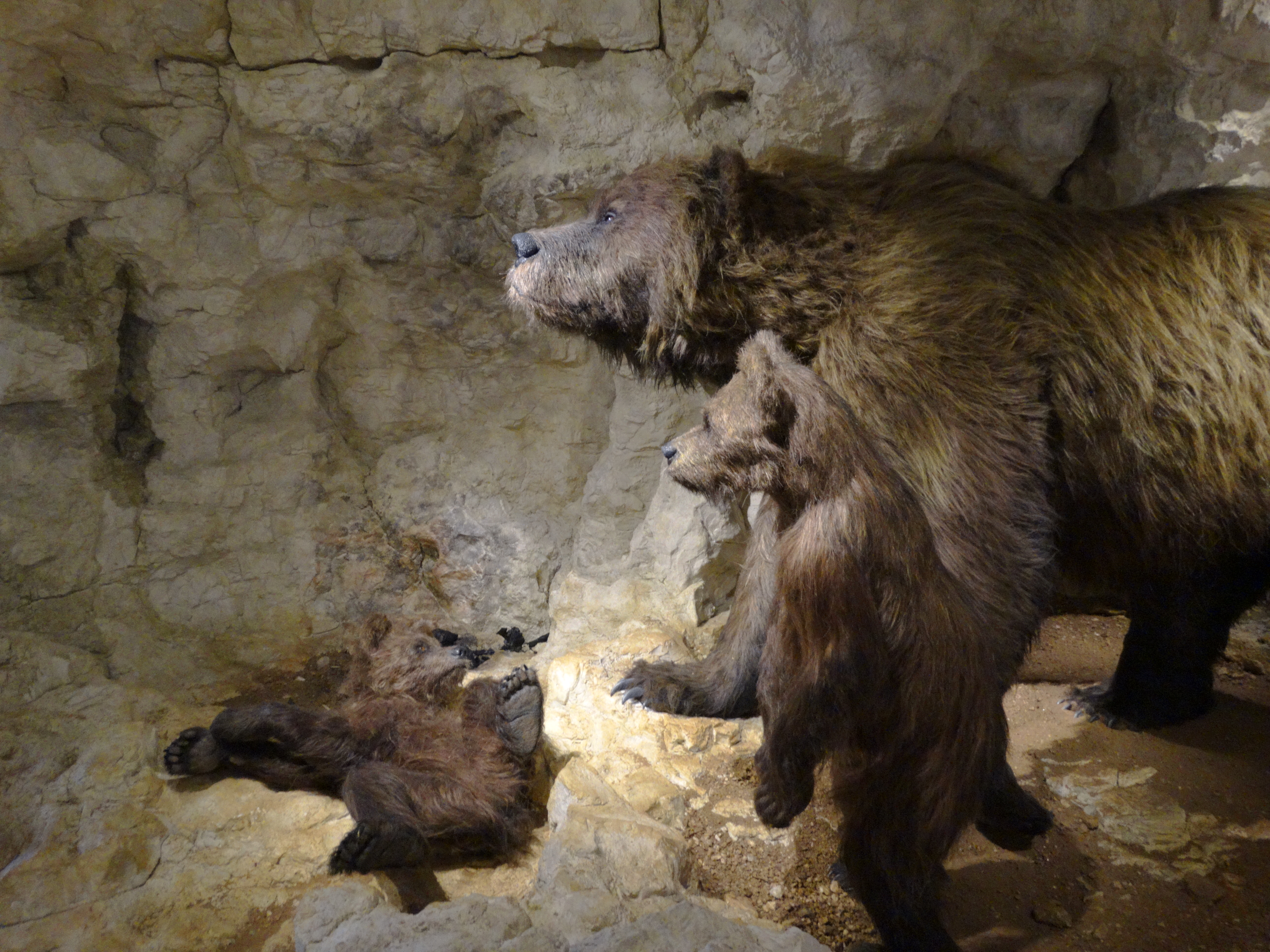 Modell Höhlenbär mit Jungtieren