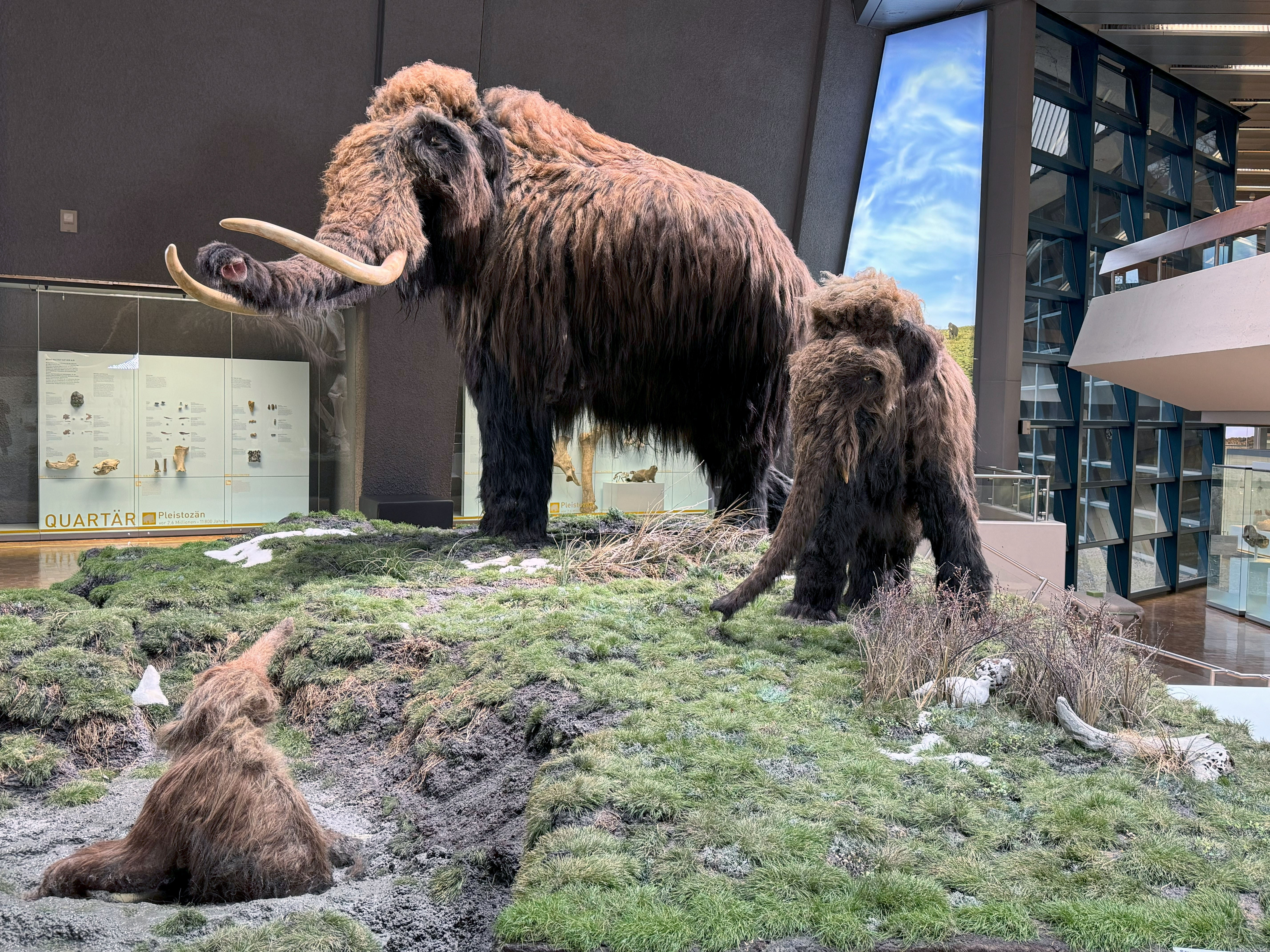 Modell Mammut mit Jungtieren