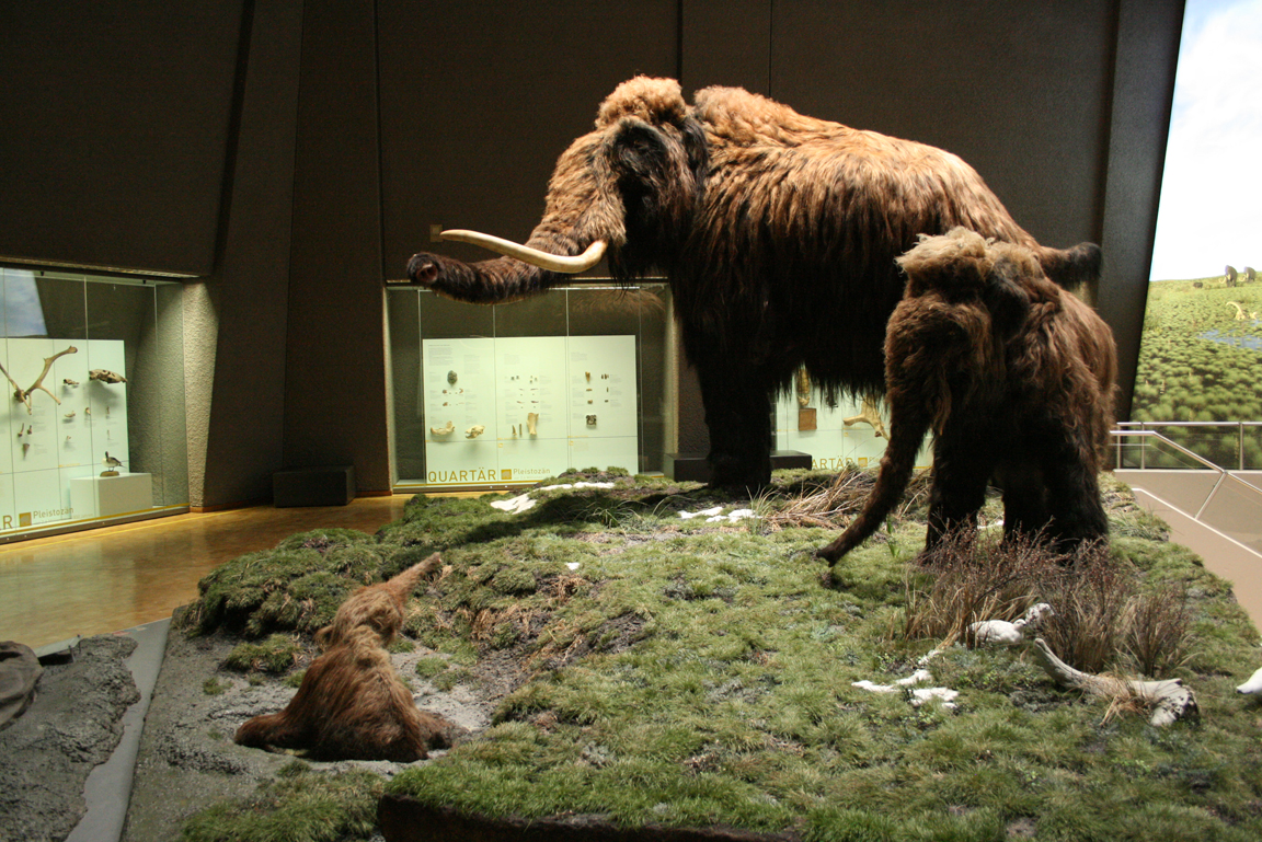 Modell Mammut mit Jungtieren