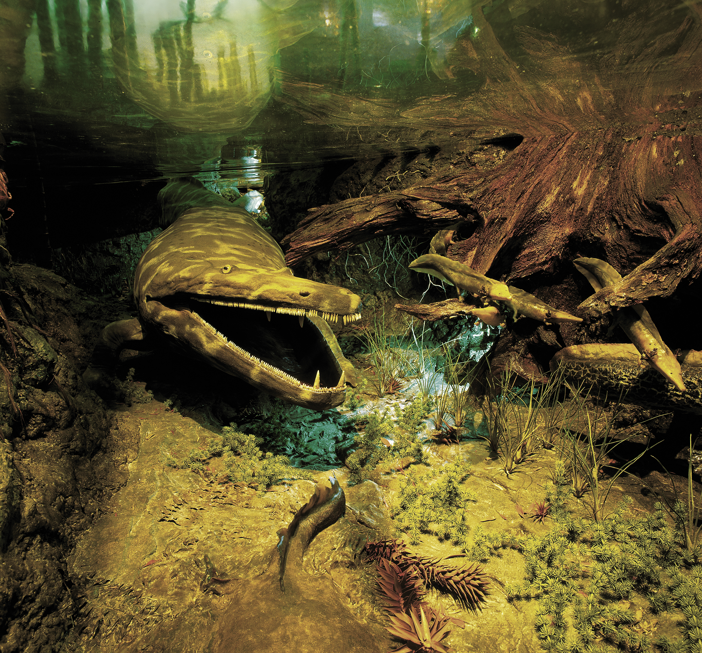 Modell Mastodonsaurus
