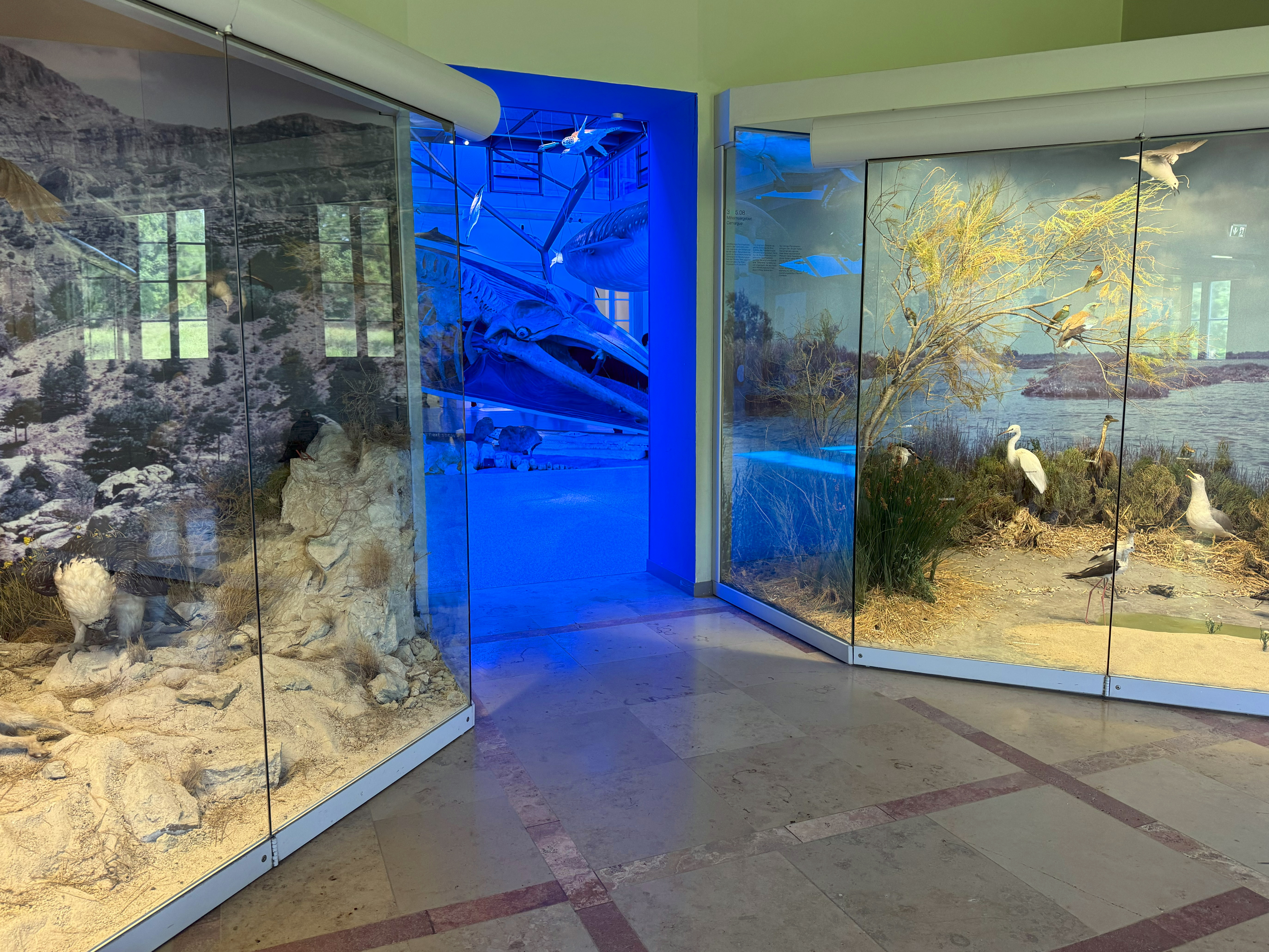 Übersicht Ausstellungsbereich Mittelmeer