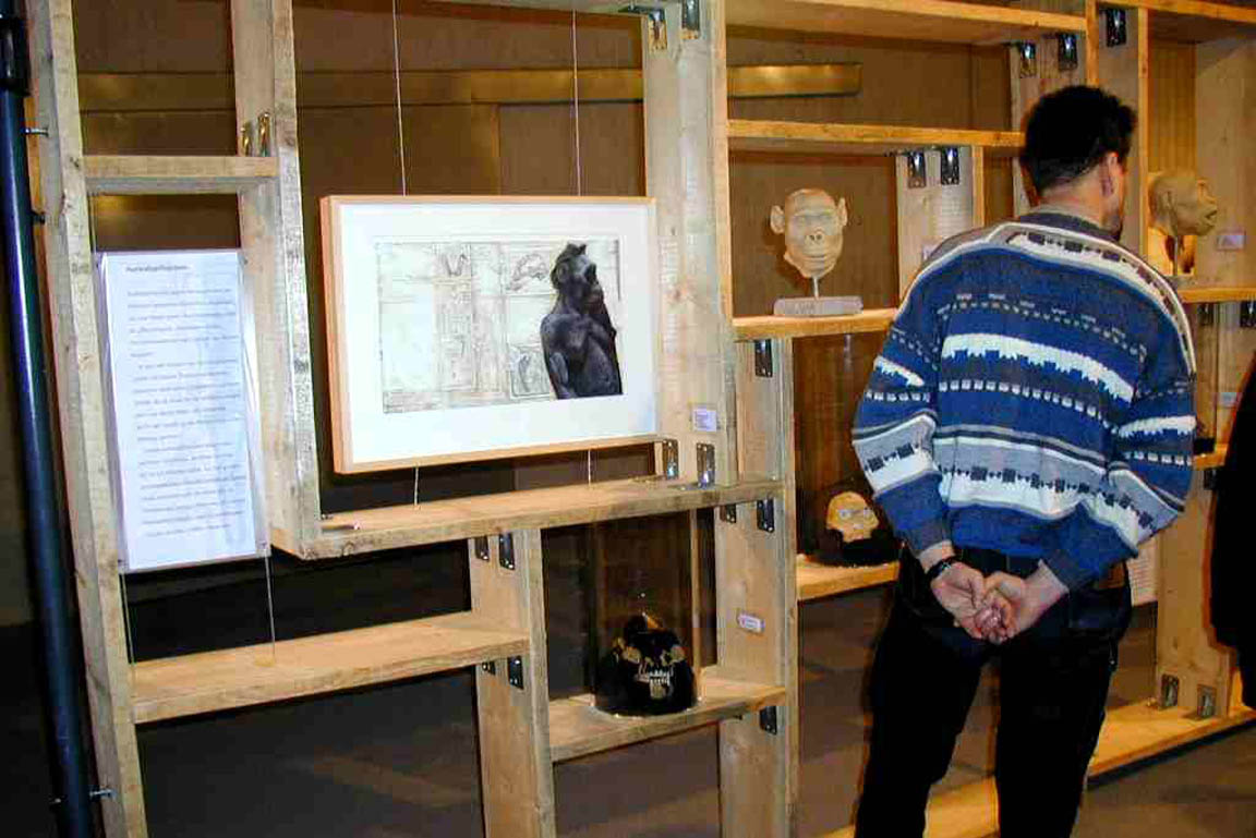 Holzregal mit Bildern, Texten und Schädelrekonstruktionen