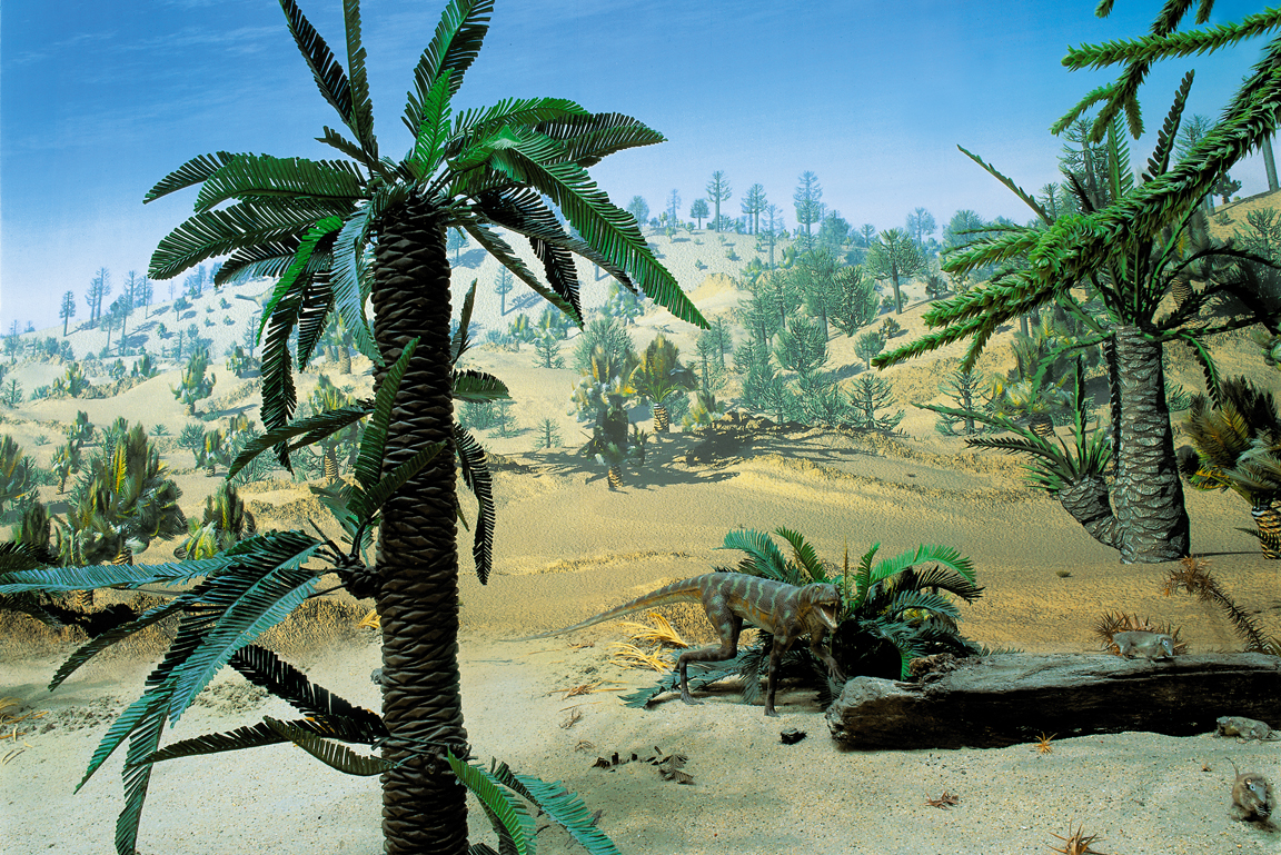 Diorama Landschaft des Mittleren Keupers