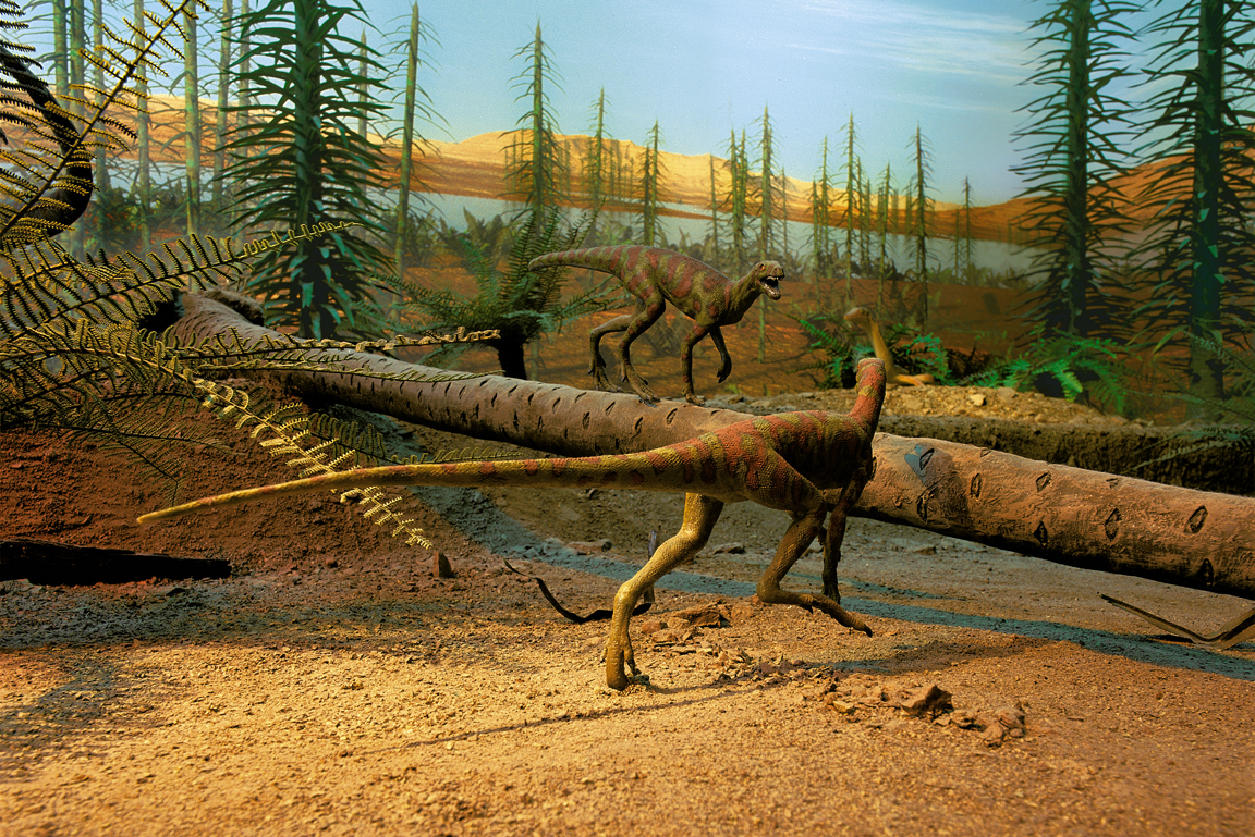 Diorama Landschaft des Buntsandsteins
