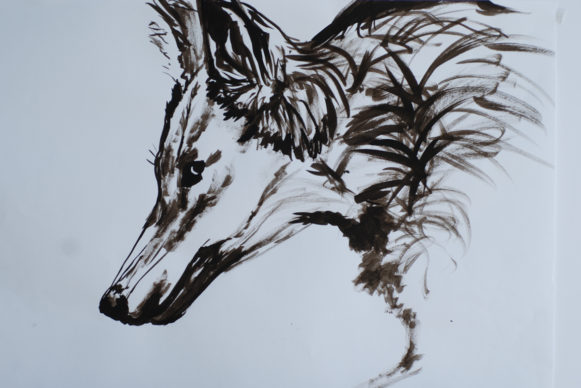 Darstellung eines Wolfskopfes in Grafit und Tusche