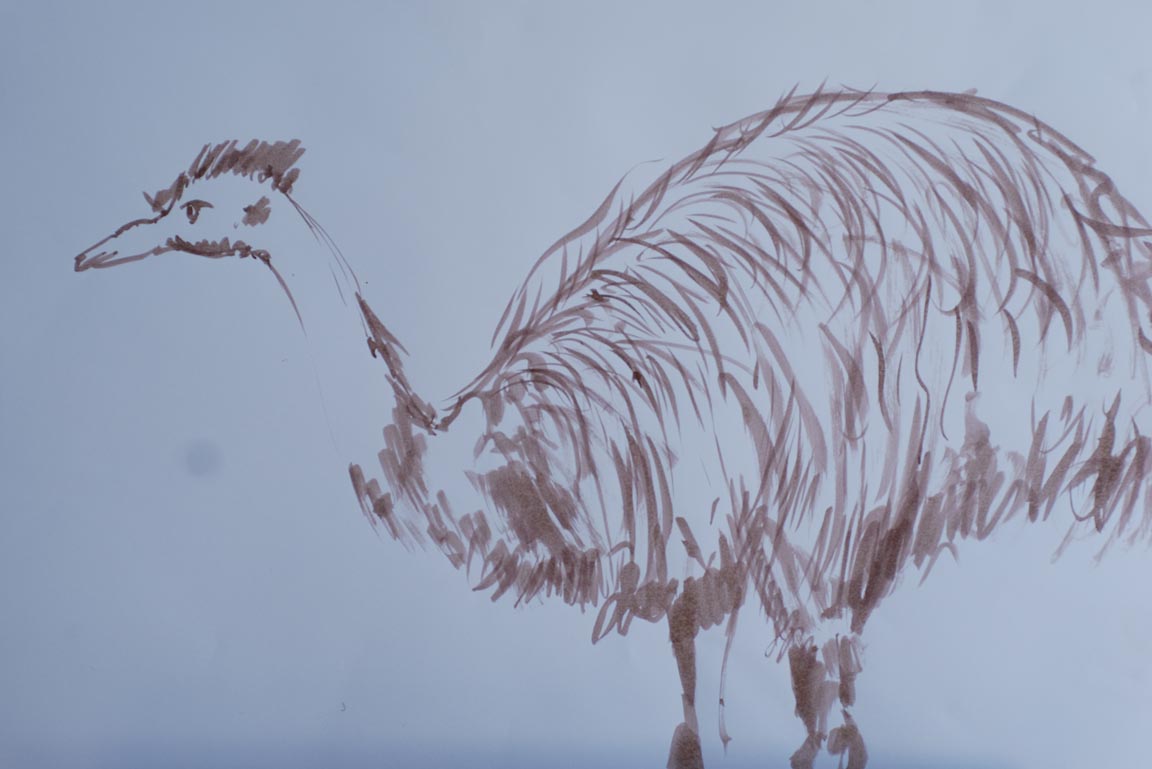 Darstellung eines Emus