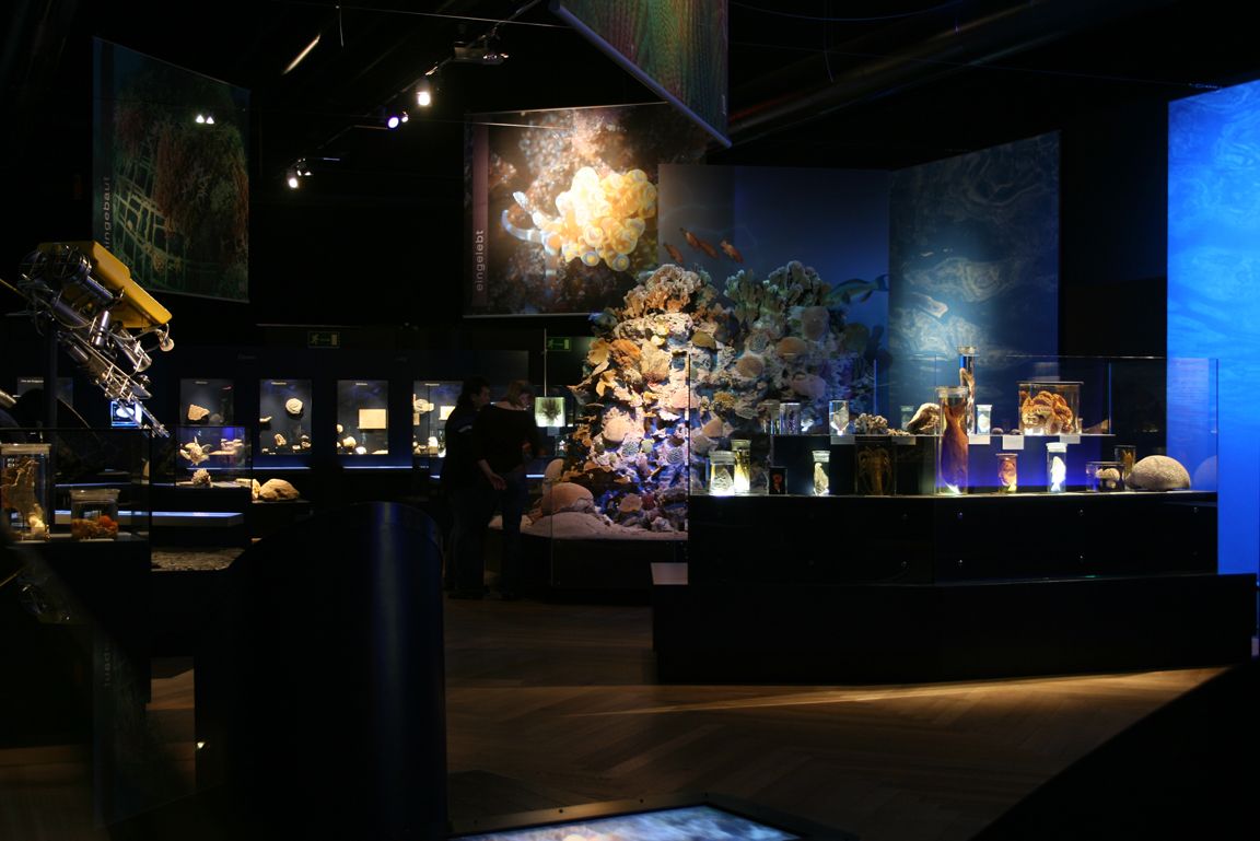 Überblick über Sonderausstellung "Abgetaucht"