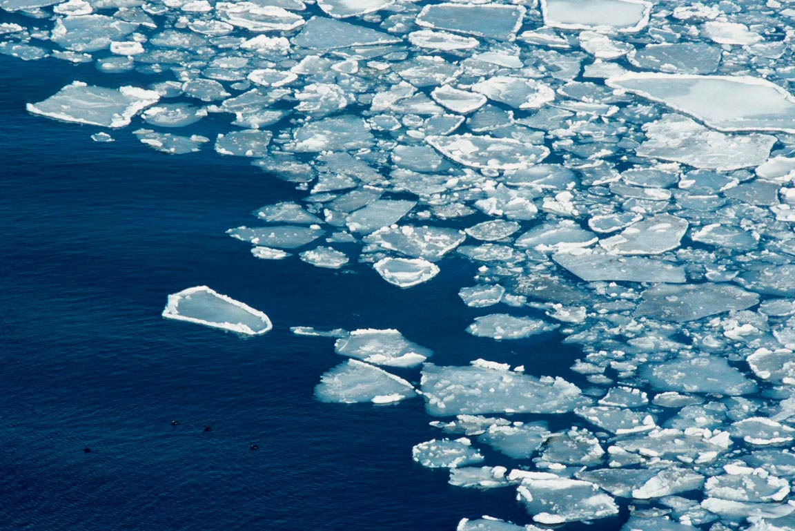 Eisschollen im Meer