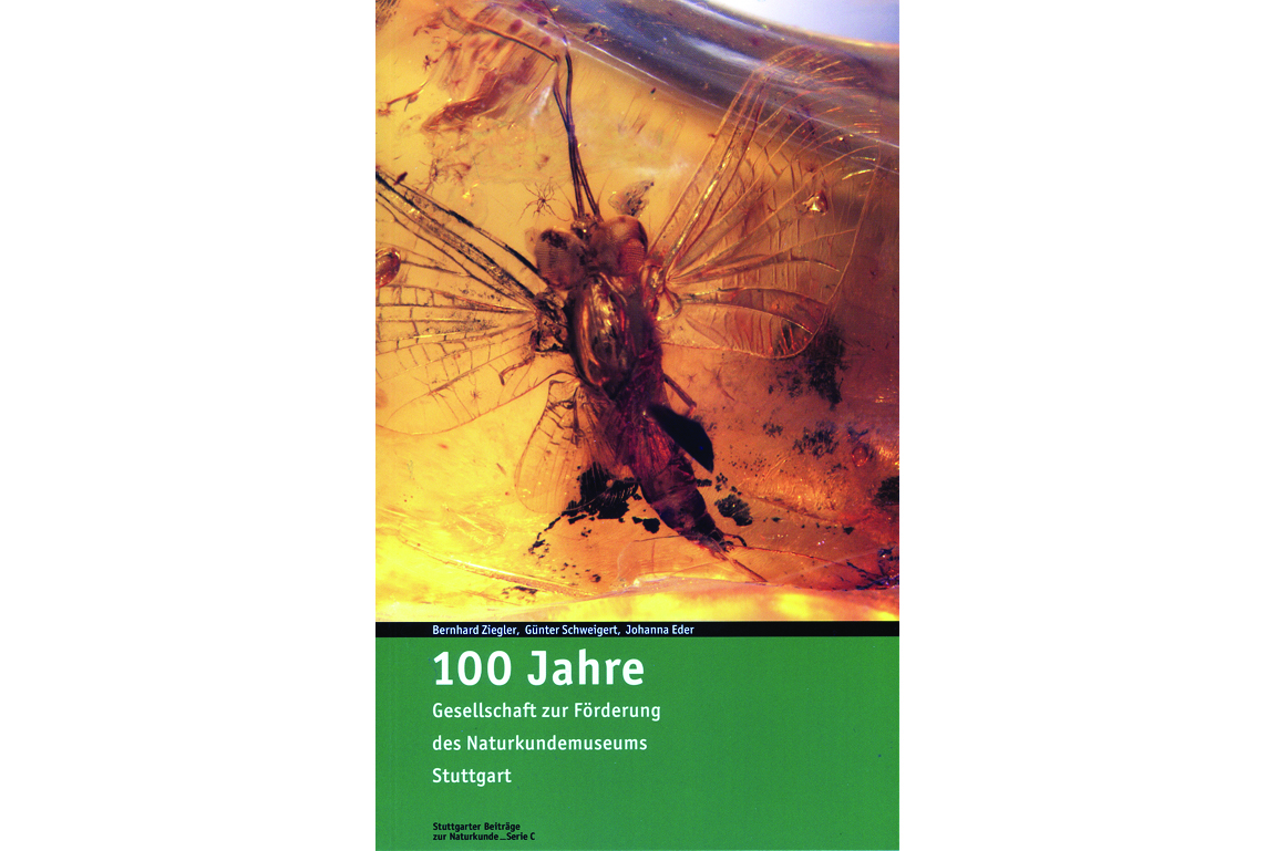 Jubiläumsfestschrift Cover
