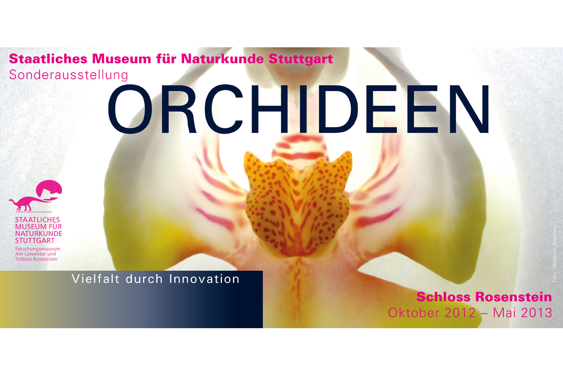 Plakat zur Sonderausstellung "Orchideen"