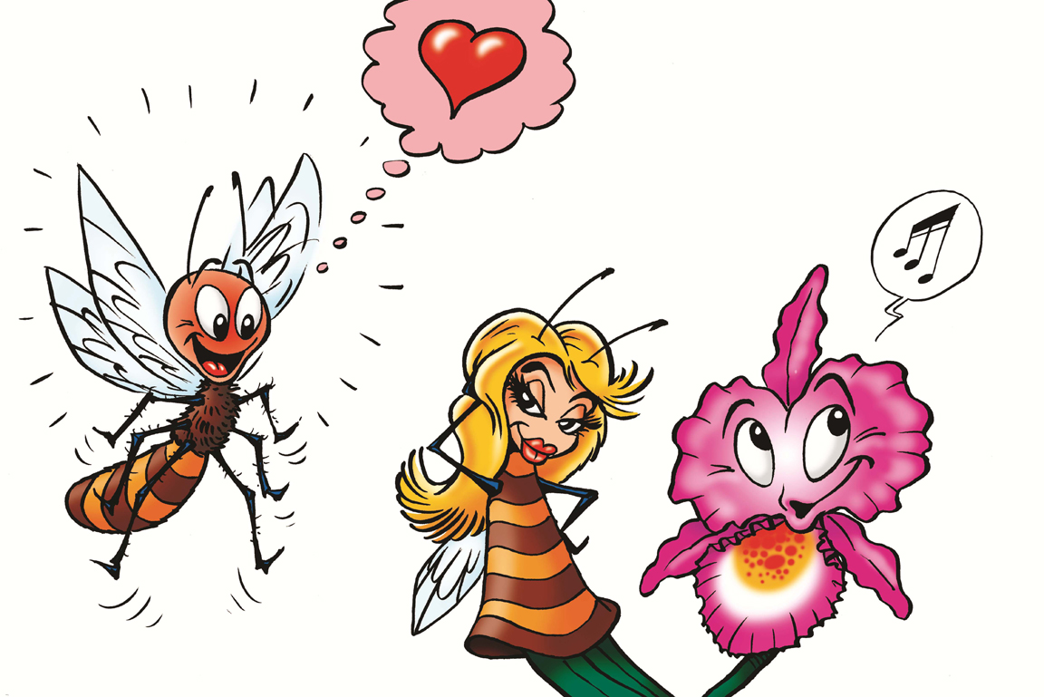 Comic über Bestäubungsstrategien von Orchideen